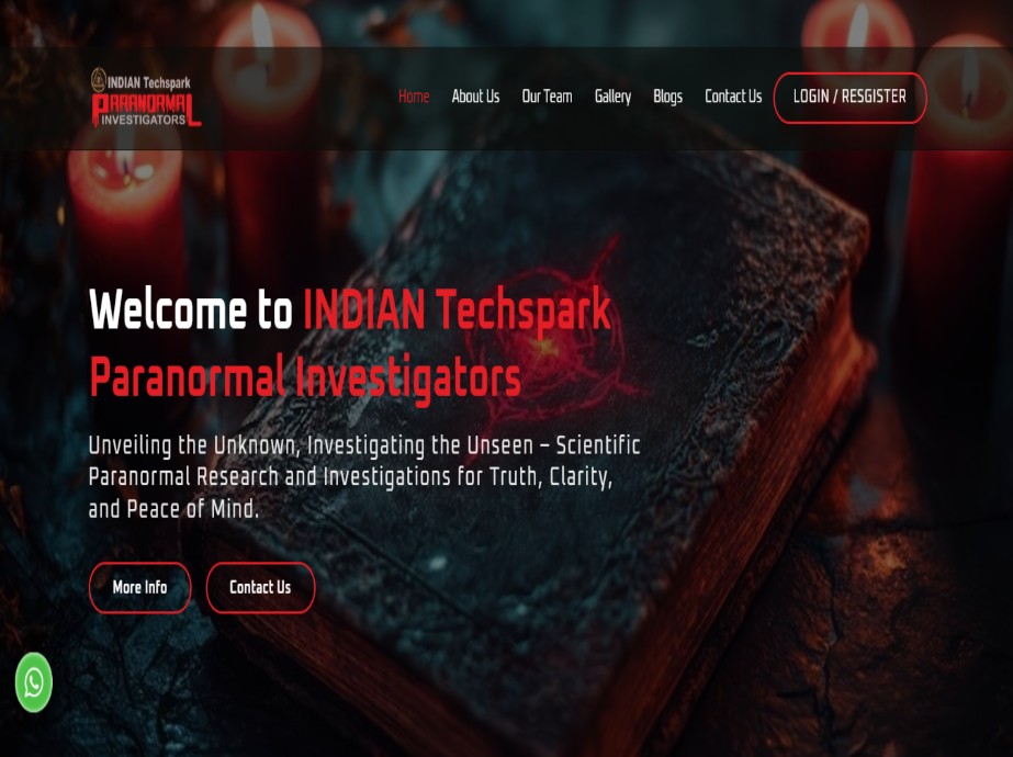 SEO Agency
